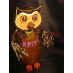 Mascots owl Talismans Pūce lielās pilna auguma lelles kostīma izgatavošanas pasūtījuma dizaina bilde