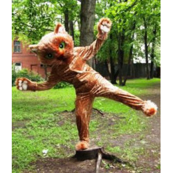 Mascot talismans Kaķis kostīma izgatavošanas pasūtījuma dizaina bilde