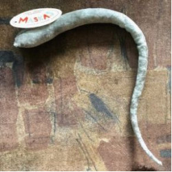 Peles aste bērniem un pieaugušajiem 40-55 cm gara maskas aksesuārs sudrabaini pelēka samta 