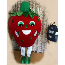 Mascot Talismans Zemene pilna auguma lelles kostīma izgatavošana šūšana pēc pasūtītāja bildes