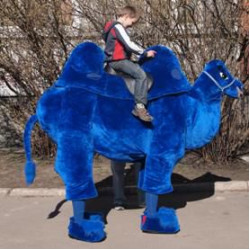 Mascots camel 2 pers talismans kostīma zilais Kamielis izgatavošanas pasūtījuma dizaina bilde